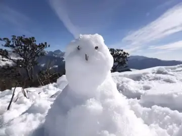 有关冬天下雪的作文精选范例（《冬天带来了大雪》）