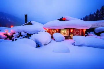 有关冬天下雪的作文精选范例（《冬天带来了大雪》）