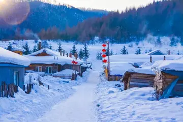 《迎接冬天的大雪》（关于冬日雪景的作文精选）