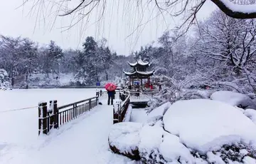 《冬天里的第一场雪》（关于纯洁冬日的作文精选）