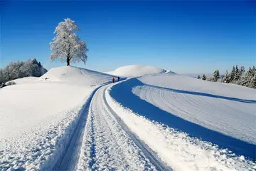 有关我爱冬天的作文精选范例（《冬雪如泪，美丽动人》）