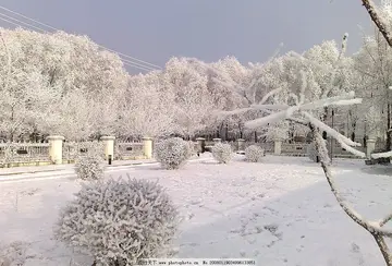 《冬天最美的风景》（关于冬雪飘飘的作文精选）