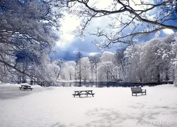 《冬天的一道风景线》（关于冬日景观的作文精选）