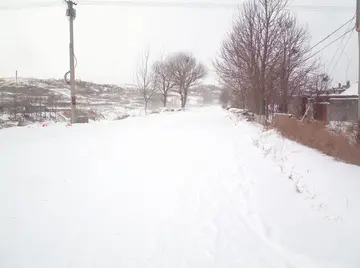 有关冬天飘雪的作文精选范例（《冬天的雪精灵》）