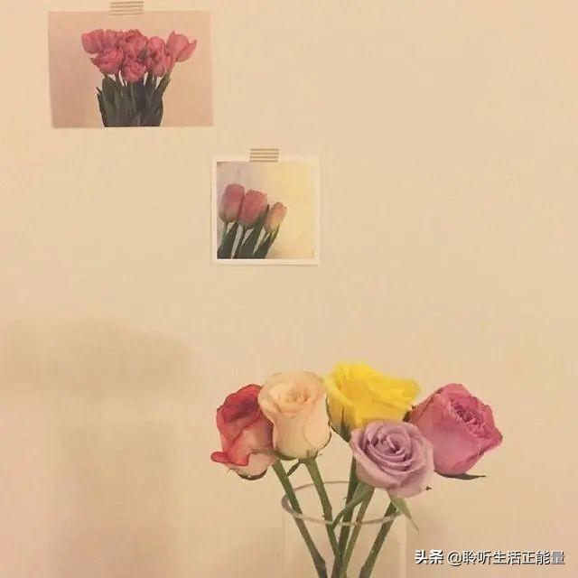 教师节给老师的经典祝福语（简短暖心教师节短句）