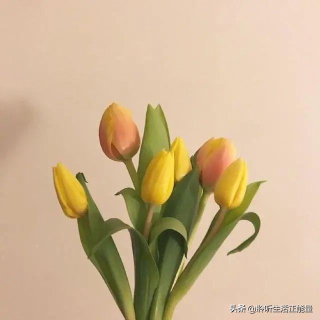 教师节给老师的经典祝福语（简短暖心教师节短句）