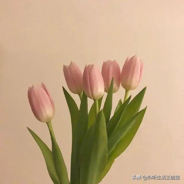 教师节给老师的经典祝福语（简短暖心教师节短句）