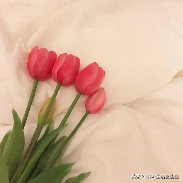 教师节给老师的经典祝福语（简短暖心教师节短句）