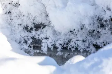 有关冬天美景的作文精选范例（《冬天迷人的景色》）