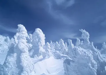 有关冬天景物的作文精选范例（《喜欢冬天的美景》）