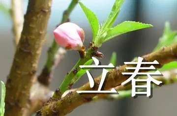 立春节气的经典诗句（关于立春的优美诗句）