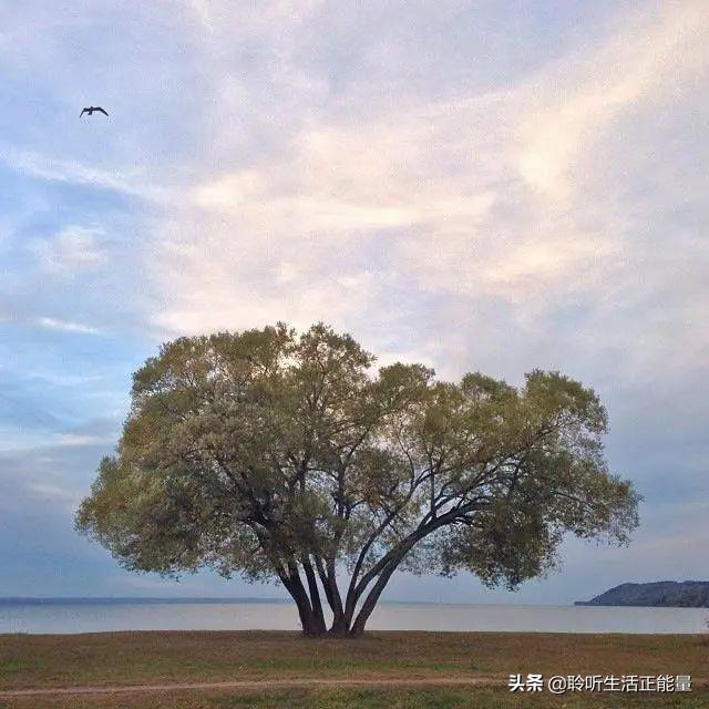 值得铭记的唯美句子（感悟铭记佳句赏析）