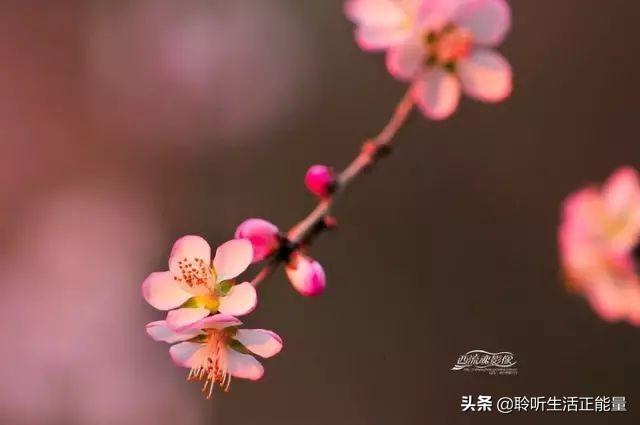 让女人动心动情的句子（暖心撩人的情话短句）