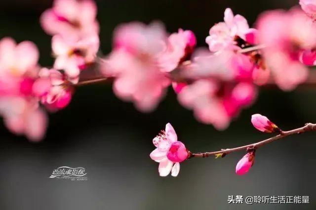 让女人动心动情的句子（暖心撩人的情话短句）