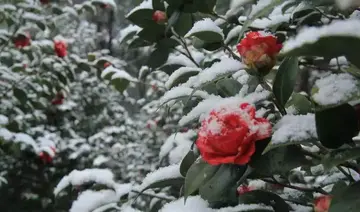 《我喜欢冬天带来的》（关于快乐冬天的作文精选）