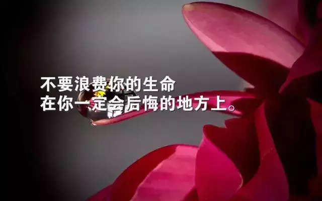 周末励志早安语录说说（勤于积累，脚踏实地）