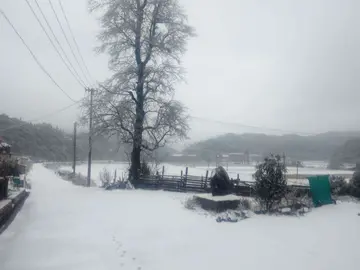 有关冬天美景的作文精选范例（《雪花飘扬的冬天》）