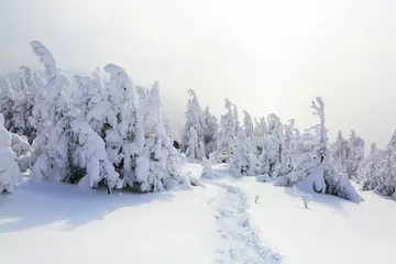 《我爱冬天的美景》（关于喜爱冬天的作文精选）