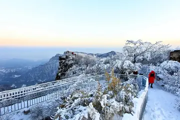 《冬天的小秘密》（关于特别的冬日作文精选）