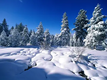 有关冬天色彩的作文精选范例（《冬季的美丽景色》）