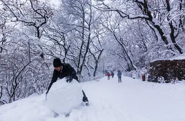 《冬天心里不下雪》（关于冬季飘雪的作文精选）