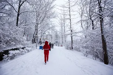 有关冬天下雪的作文精选范例（《雪花落地的簌簌声》）