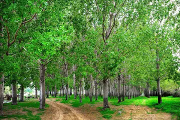 风景优美作文800字（美不胜收的风景）