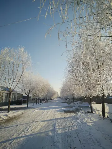 特别经典的冬雪诗句（关于冬雪的唯美诗句）