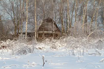 有关快乐冬天的作文精选范例（《看看窗外，飞雪飘飘》）