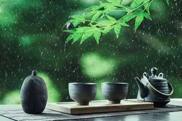 描写谷雨的唯美句子（谷雨时节的优美短句）