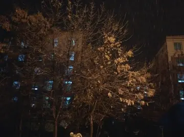 《冬天夜晚听雪》（关于冬夜的作文精选）