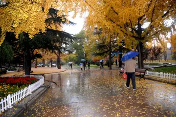 《感恩下雨的冬天》（关于冬雨续雪的作文精选）