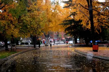 《感恩下雨的冬天》（关于冬雨续雪的作文精选）