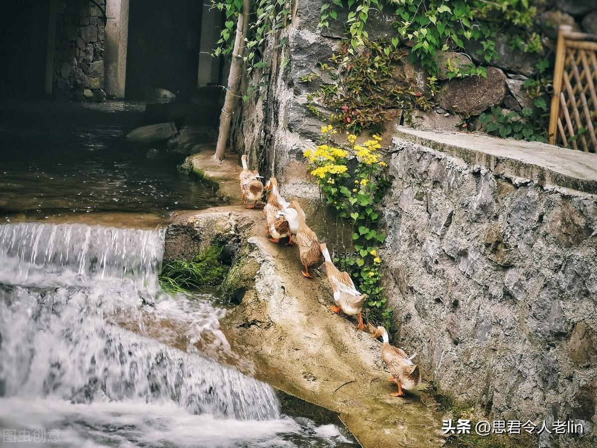 充满田园诗意的诗词（感受乡村闲适的古诗）