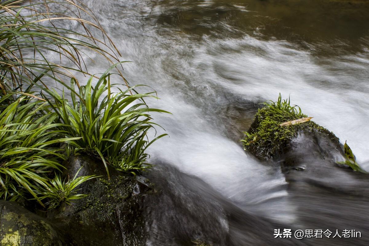 充满禅意的山水古诗（放飞心灵的诗句）