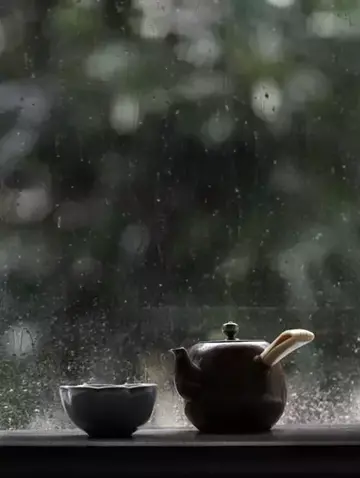 描写雨天的绝美诗句（关于雨天的优美诗句）