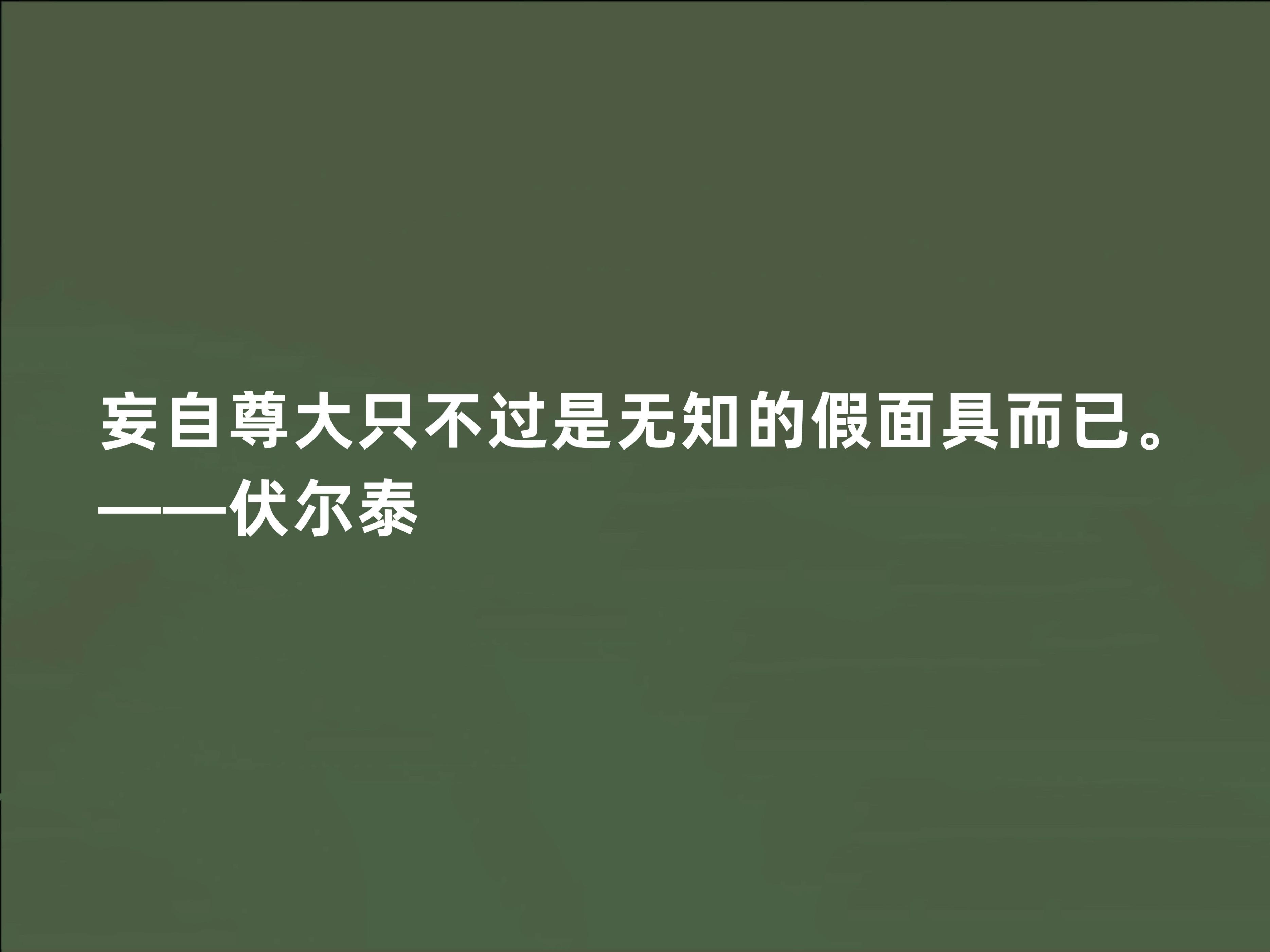 伏尔泰格言的经典语录（伏尔泰格言名人名言大全摘抄）