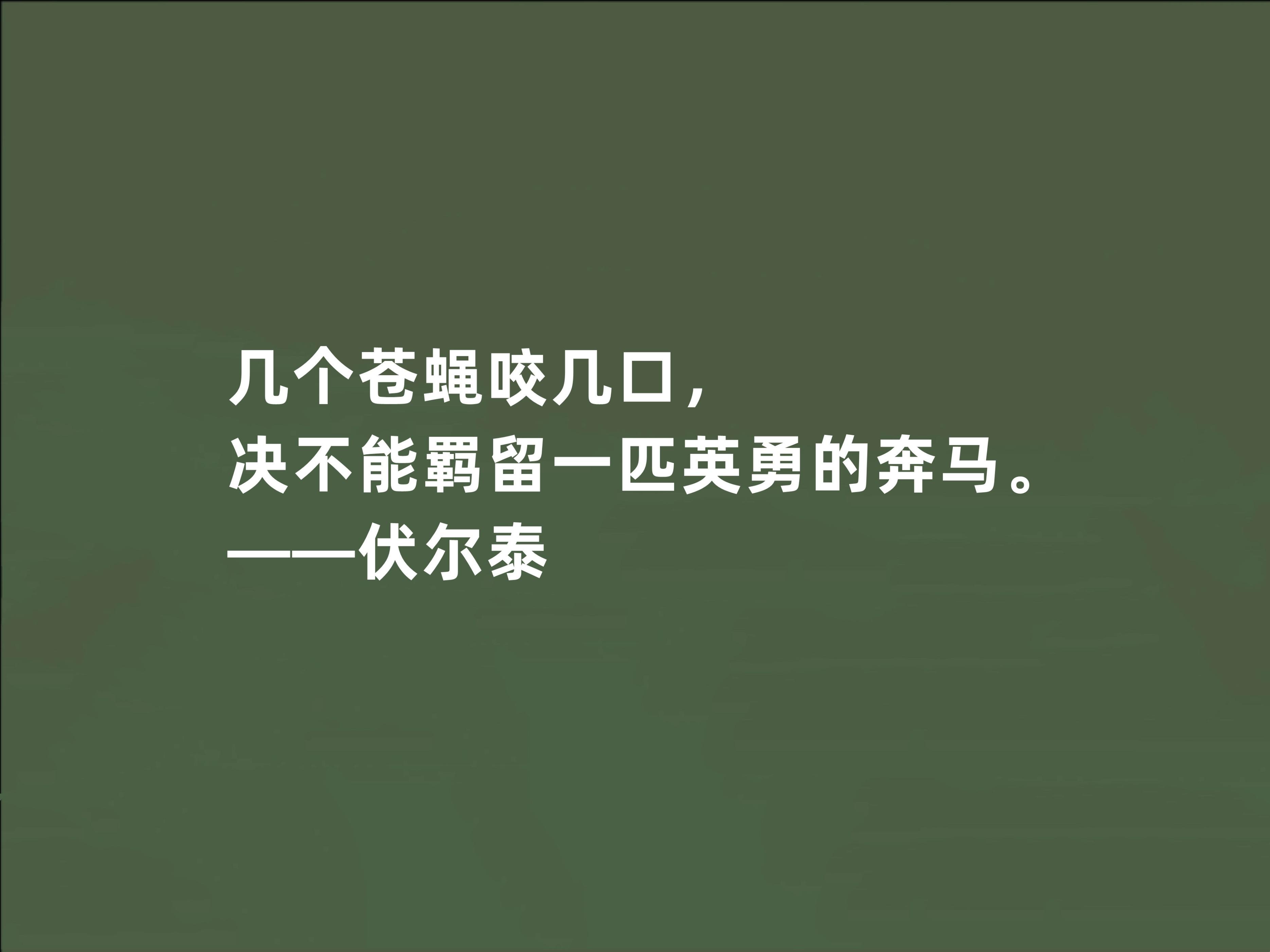 伏尔泰格言的经典语录（伏尔泰格言名人名言大全摘抄）