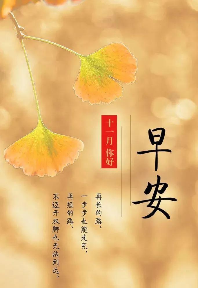 十一月你好祝福语（11月唯美问候句子文案）