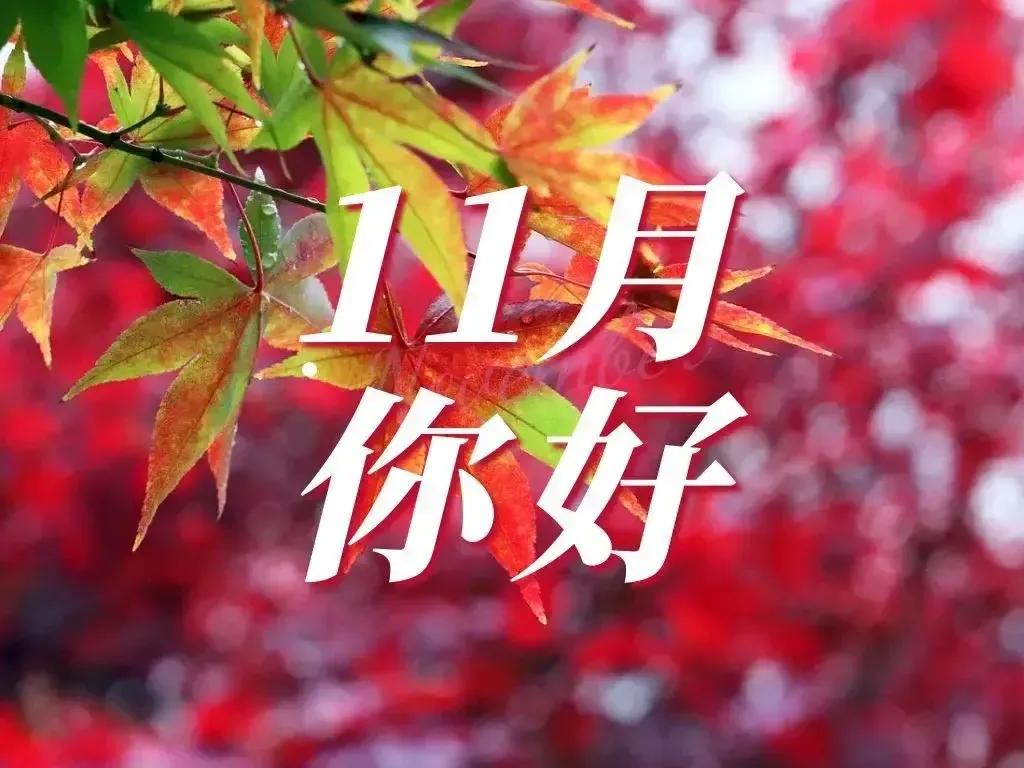 十一月你好祝福语（精选唯美问候句子文案）