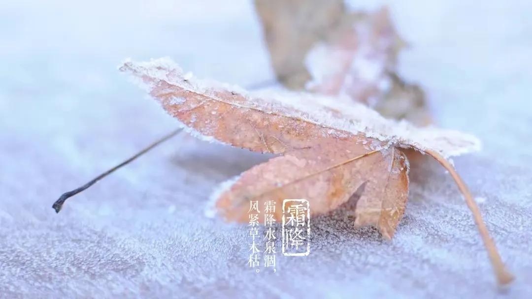 霜降节气祝福语（霜降唯美句子文案）