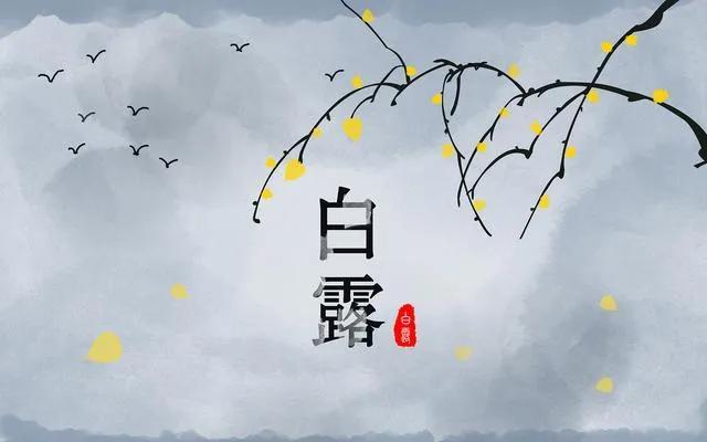 白露节气文案（白露唯美句子祝福语）