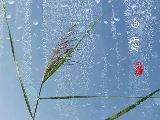 白露节气文案（白露唯美句子祝福语）