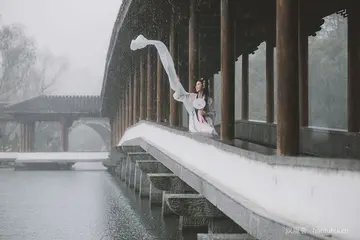 青丝映雪800字优秀作文（岁月长留）