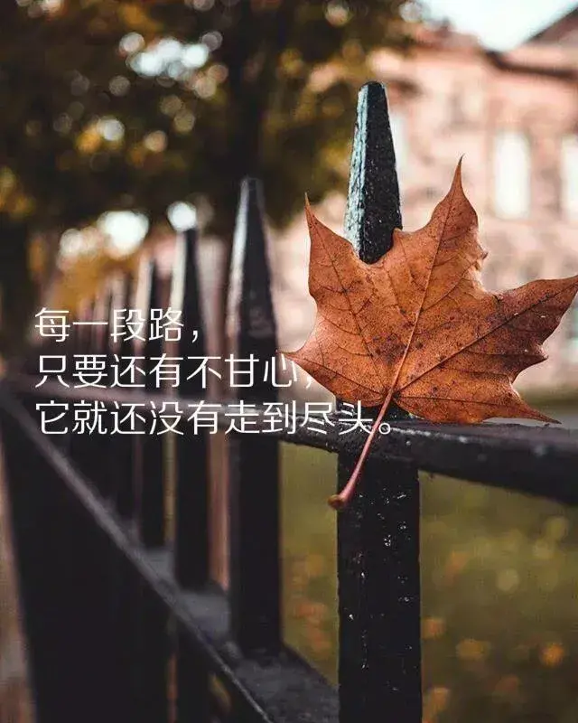 下雨天适合发朋友圈的说说（朋友圈看透人心的句子）