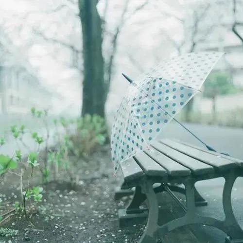 下雨天干净治愈文案短句（雨天心情依然好的句子）