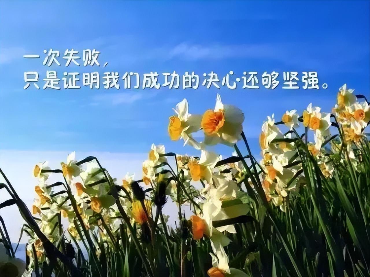 激发自己的励志句子（正能量鼓励自己的短句）