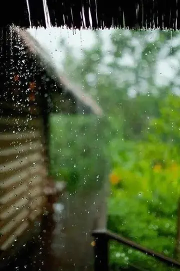 适合雨天的唯美句子（关于雨天的简短句子）