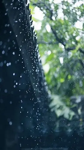 特别浪漫的雨天文案（关于雨天的温柔短句）