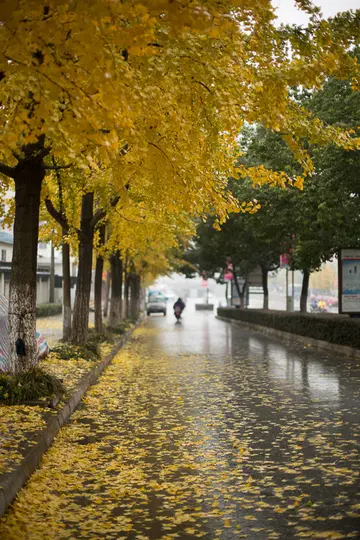 描写雨天的伤感文案（适合雨天的伤感句子）